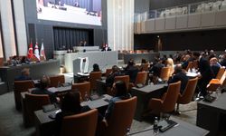 Meclis Genel Kurulu’nda onaya sunuşlar yapıldı