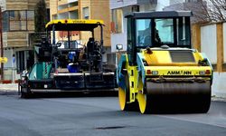 LTB, Bedrettin Demirel Caddesi’nde asfaltlama çalışması yapacak