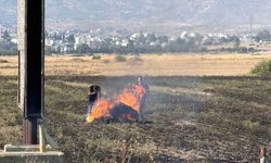 120 Dönüm Kül Oldu! Alevler Tarım Arazisini Vurdu