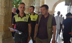 Minibüs ile yayaya çarptı: Tutuksuz yargılanacak