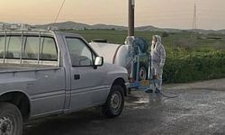 Güney Kıbrıs’ta daha önce vaka tespit edilmemiş bölgelerde şap hastalığı şüphesi