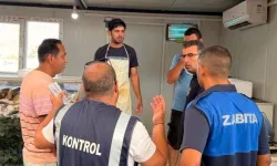 Lefkoşa pazarında denetim: 7 kilo hamsiye el konuldu
