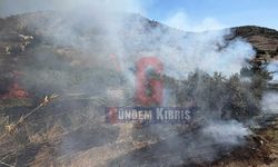 Tedbirsiz Yakılan Kuru Otlar Yangına Dönüştü