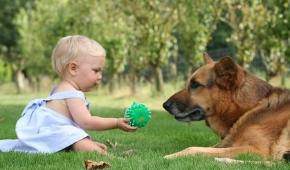 Köpek sahiplenmenin çocuklara 10 faydası