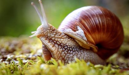 Bunları öğrendiğinizde çok şaşıracaksınız!