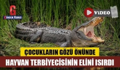 Timsah, çocukların gözü önünde hayvan terbiyecisinin elini ısırdı