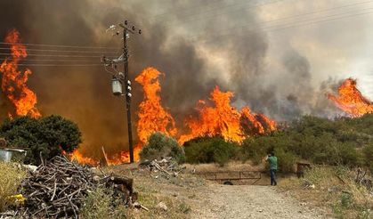 Orman Dairesi açıkladı: Ateş yakmak yasaklandı