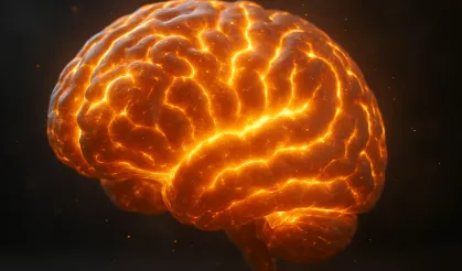 Bilim dünyasını karıştıran ışık: İnsan beyninin geceleri parladığı ortaya çıktı