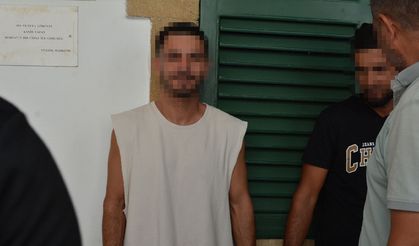 Sanayi Trafik Işıklarında Durdurulan Araçtan Bonzai Çıktı