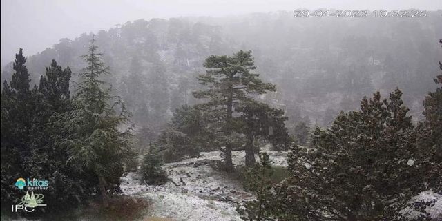 Trodos dağlarına kar yağdı