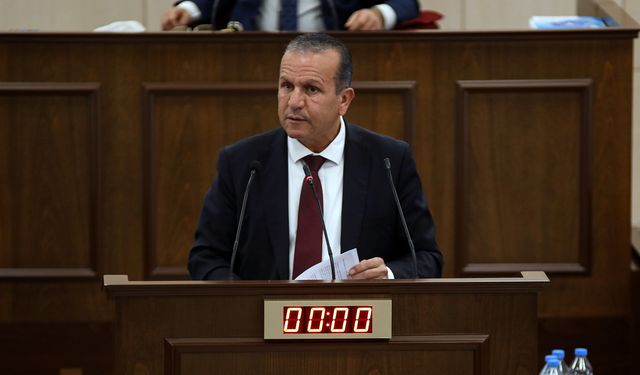 Ataoğlu: 1 Ocak 2025 itibarı ile poşetler tamamen ortadan kalkacak