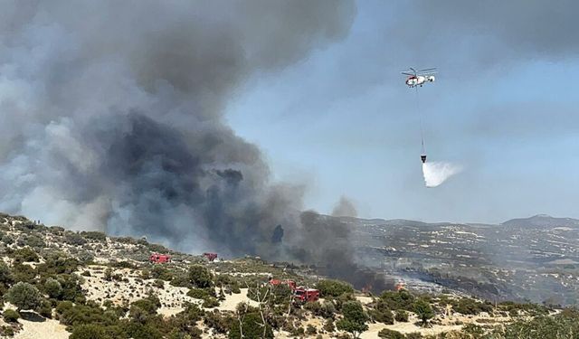 Limasol'da çıkan yangınlar kontrol altına alındı