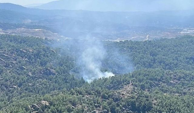 Adana ve Muğla’da orman yangını