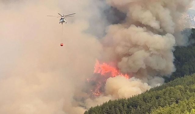 Antalya'da orman yangını... Havadan ve karadan müdahale sürüyor