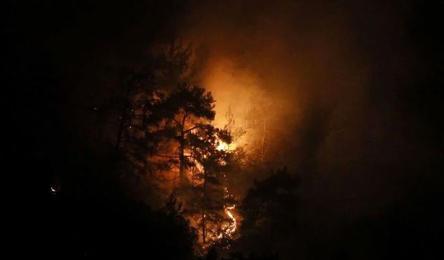 Antalya'da orman yangını! 1 ev yandı, 17 ev tahliye edildi