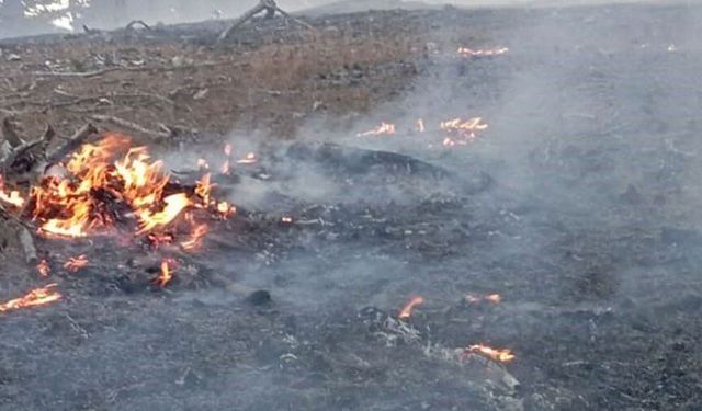 Adana'da orman yangını