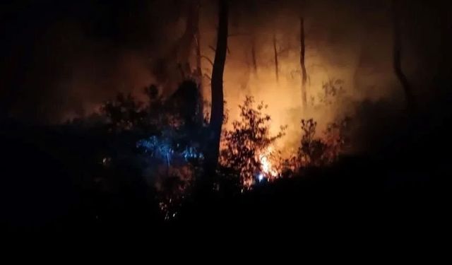 Adana’da 6 farklı noktadan başlayan orman yangını