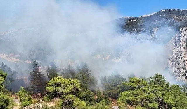 Antalya ve Muğla'da orman yangını