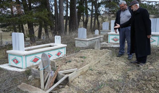 Kış uykusuna yatamayan ayılar, mezarları kazmaya başladı