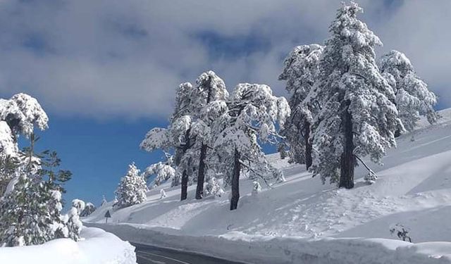 Güney Kıbrıs'ta kar yağışı... Dağ köylerinin yolları kapandı