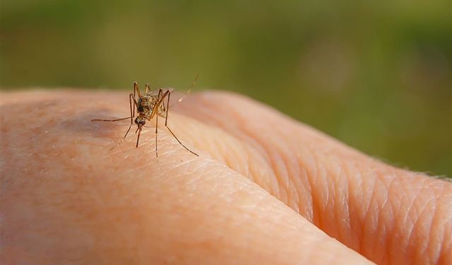 Tabipler Birliği, Sağlık Bakanlığı’nı acilen harekete geçmeye çağırdı