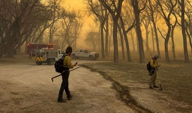 Teksas'ta orman yangını: Nükleer silah tesisi kapatıldı