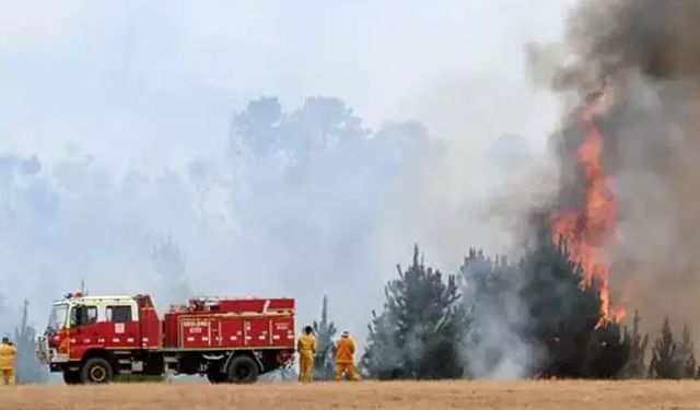 Avusturalya’da yangın: 16 bin hektarlık alan küle döndü