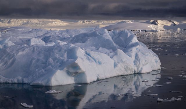İklim değişikliğinin delili: Güney Okyanusu'nda yüzen buz dağları
