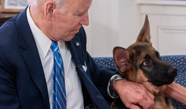 Biden'ın köpeğinin en az 24 Gizli Servis personelini ısırdığı ortaya çıktı