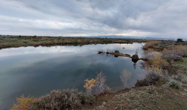 KUŞKOR: Su kuşu sayımları düşük çıktı