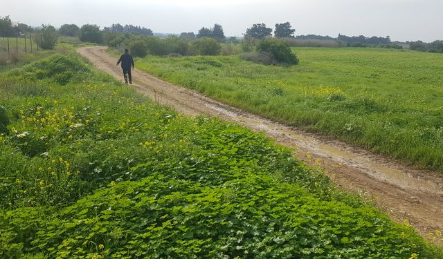 Güzelyurt Hayvanları Koruma Derneğinden İçişleri'ne teşekkür...