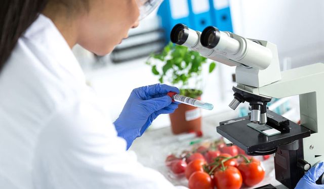 İthal domates ve elmada limit üstü bitki koruma ürünü tespit edildi