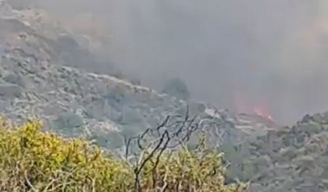 Limasol’da sabah başlayan orman yangını kontrol altına alınamıyor