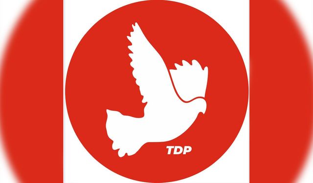 "TDP sadece meclise değil hükümete taliptir"