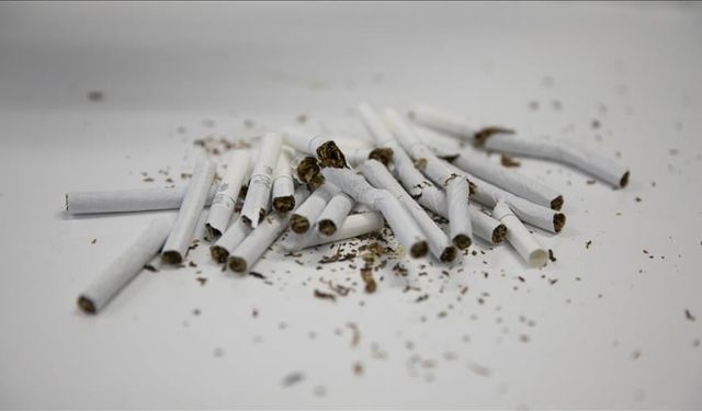 Tıp-İş’ten ‘Dünya Tütünsüz Günü’ mesajı: Tütünsüz bir ülke için eğitim şart