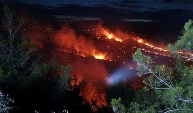 Adana'da orman yangını: Ekipler müdahale ediyor