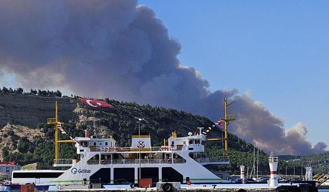 Çanakkale'de orman yangını