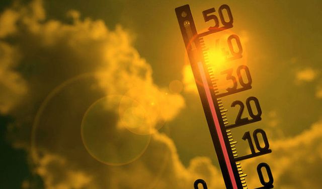 Haziran ayı rekor kırdı: 2024 dünyanın en sıcak yılı olabilir