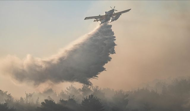 Orman yangınları geçen yıla göre yaklaşık 5 kat arttı