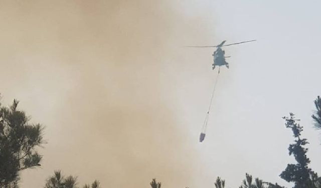 Tatlısu Belediye Başkanı Orçan yangına müdahale için yardım çağrısı yaptı