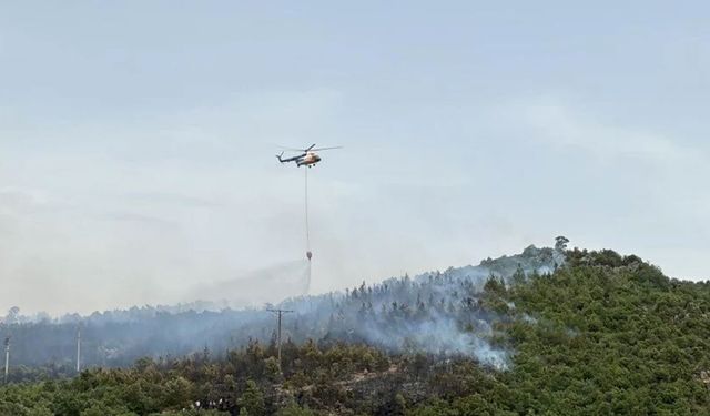 Muğla, Balıkesir, Denizli ve Aydın'da 5 noktada orman yangını...