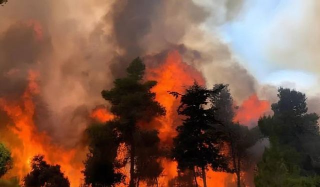 Limasol'da büyük yangın... 5 Uçak müdahale ediyor...