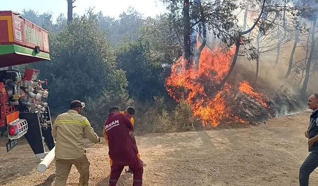 Adana’da orman yangını: Sert esen poyraz müdahaleyi zorlaştırıyor