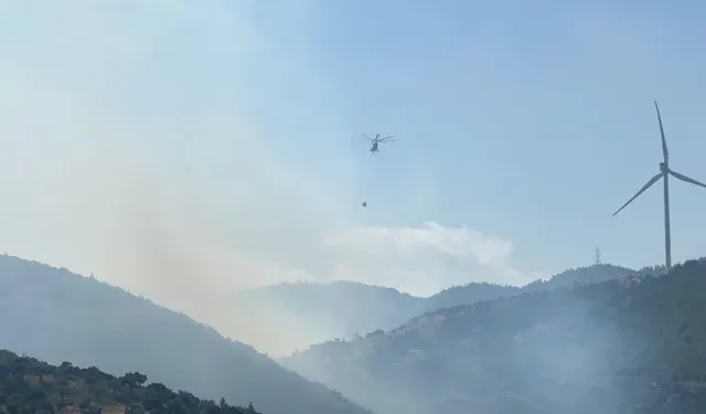 Hatay'da orman yangını...