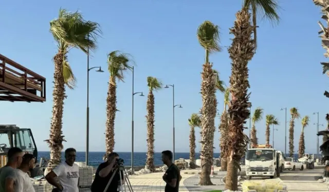 Girne Kordonboyu’nda çalışmalar sürüyor: Palmiye sayısı 5 kat artırıldı