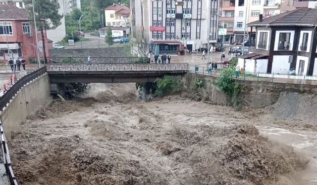 Ordu ve Muş'ta sel felaketi: 2 kişi hayatını kaybetti