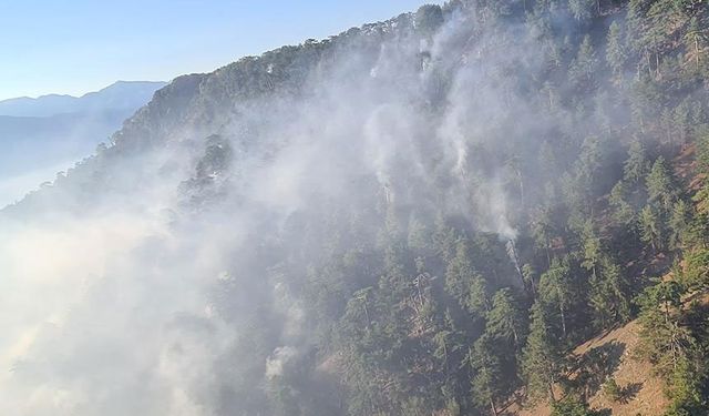 İzmir ve Denizli'de orman yangınlarına müdahale sürüyor