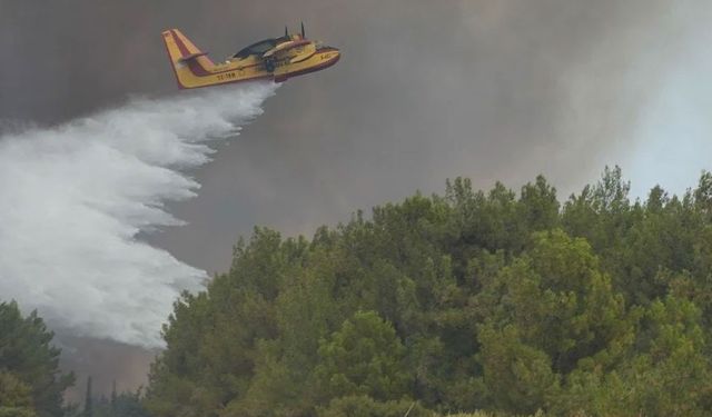 İzmir, Manisa, Bursa, Balıkesir ve Kütahya’da orman yangını: 1 kişi yaşamını yitirdi