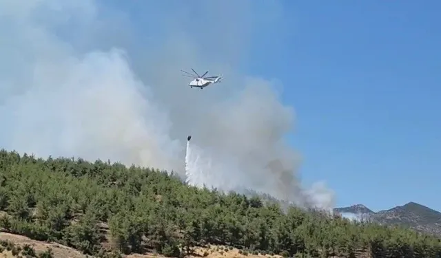 Hatay'da orman yangını: Havadan ve karadan müdahale sürüyor