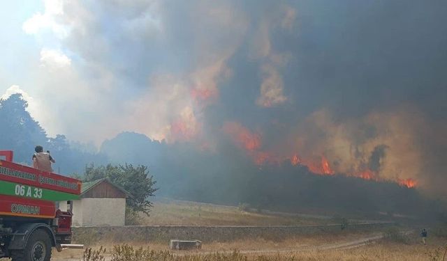 İzmir, Ankara ve Afyonkarahisar’da orman yangını